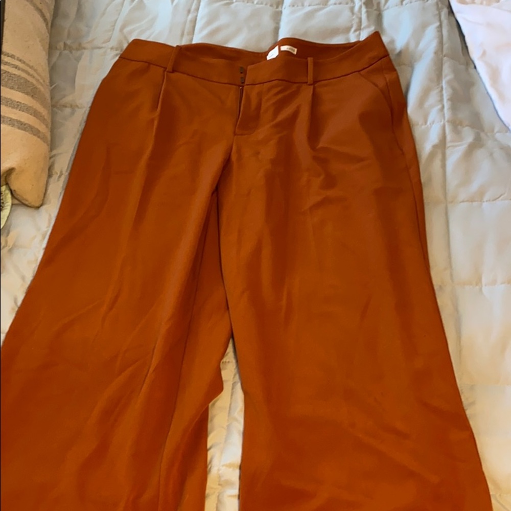 Dress pants
